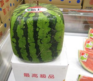 square watermelons Japan 300x260 - The most expensive watermelons in the world